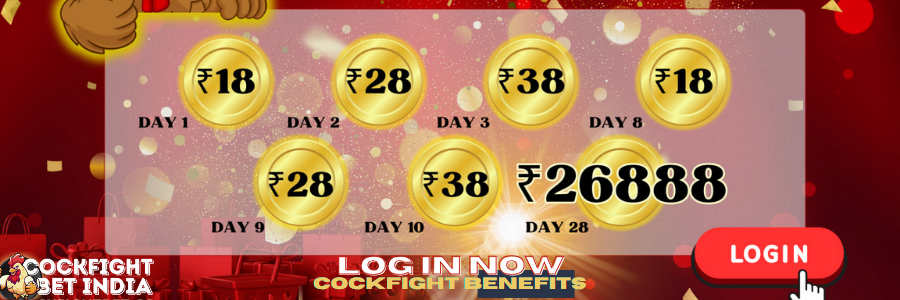 cockfight login