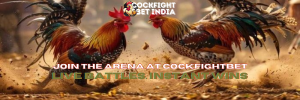cockfightbet