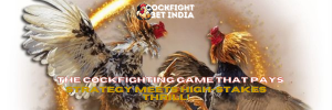 cockfighting game