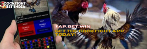 cockfight app download