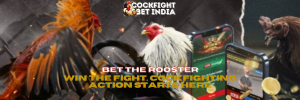 cockfighting online betting