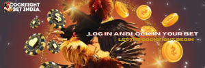 cookfight login