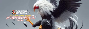 cockfight asia