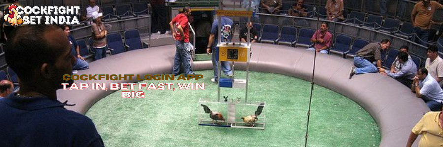 cockfight login app