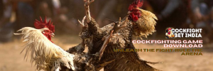 cockfighting game download