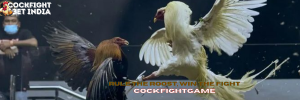 cockfightgame