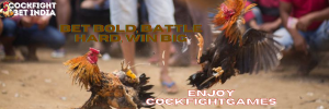 cockfightgames