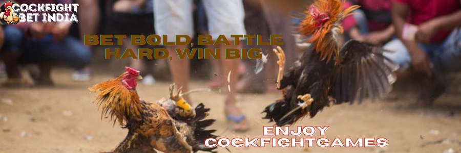 cockfightgames