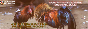cookfight game download