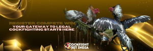 cock fight register