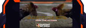 cock fighting app