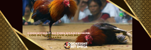 Coockfight Log In
