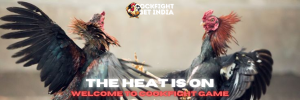 cookfight game