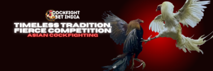 asian cockfighting