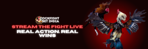 online cockfighting app