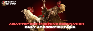 cookfight asia.com