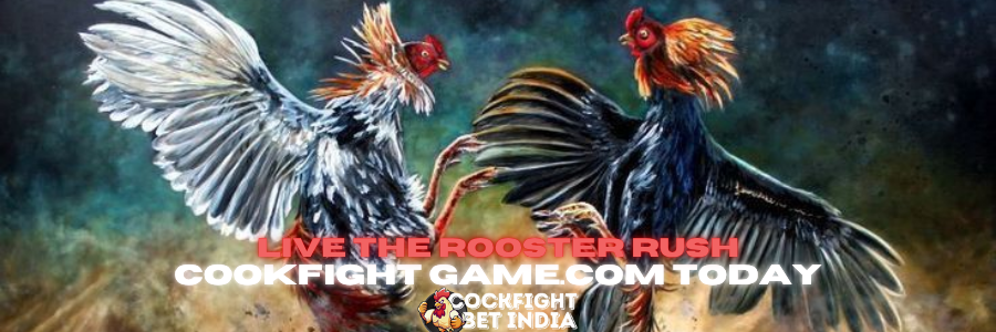 cookfight game.com