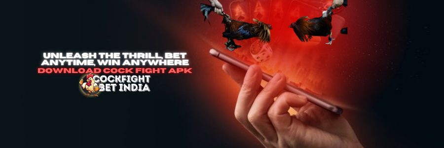 cock fight apk