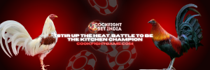 cook fight game.com