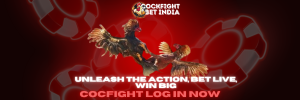 cocfight log in