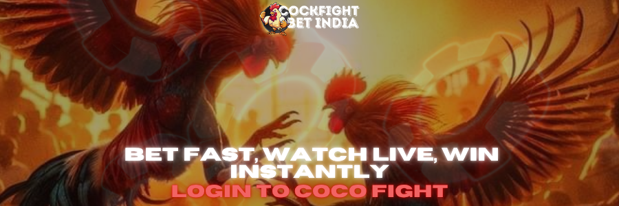 coco fight login