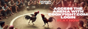 cookfight.com login