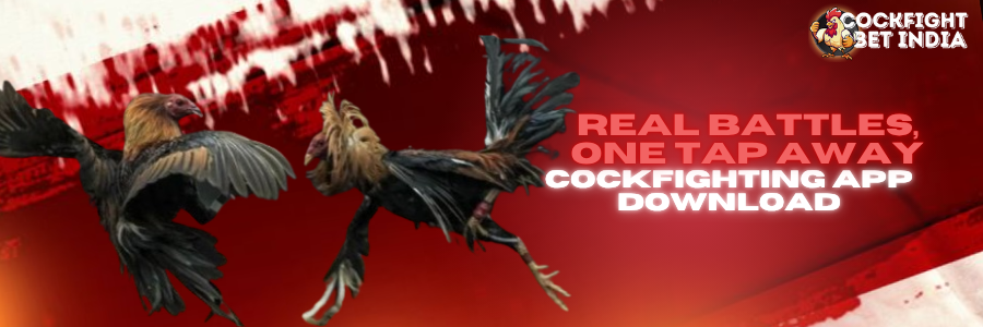 cockfighting app download