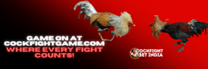 cook fighter game