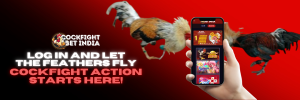 cockfight log in