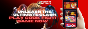 cook fight game