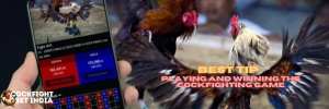 cockfighting game