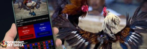 cockfighting game