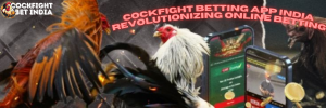cockfight betting app india