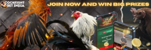 cockfight betting app india