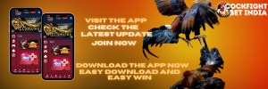 cockfight app download