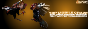 cock fight app