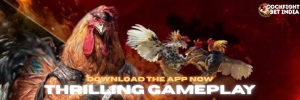 cockfight login download