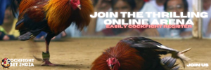 cockfight register