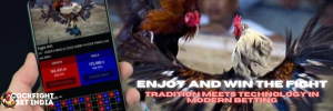 cockfight game