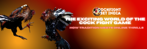 cockfight app