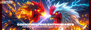 cockfightbet