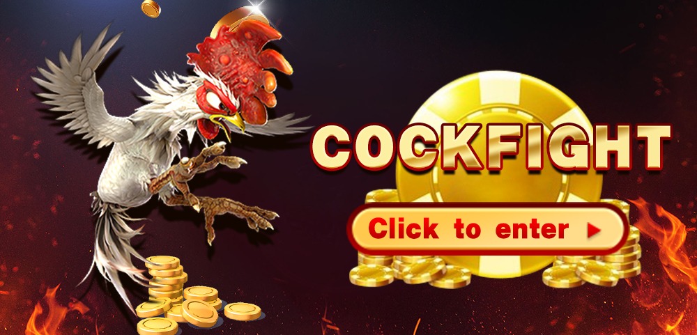 cfbet-cockfight