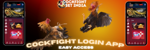 cockfight login app