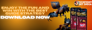 cockfighting game download