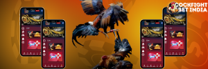 cockfighting game download