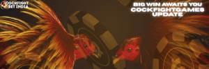 cockfightgames