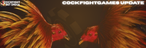 cockfightgames