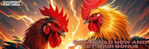 cookfight game download