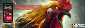 cock fight register