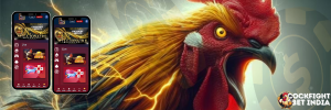 cock fight register